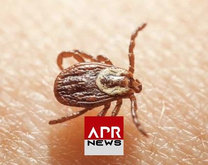 APRNEWS : Alerte, le virus de Powassan se propage