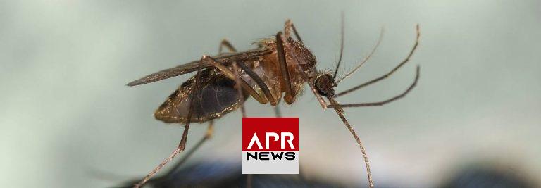 APRNEWS : Alerte au virus encéphalite équine de l’est