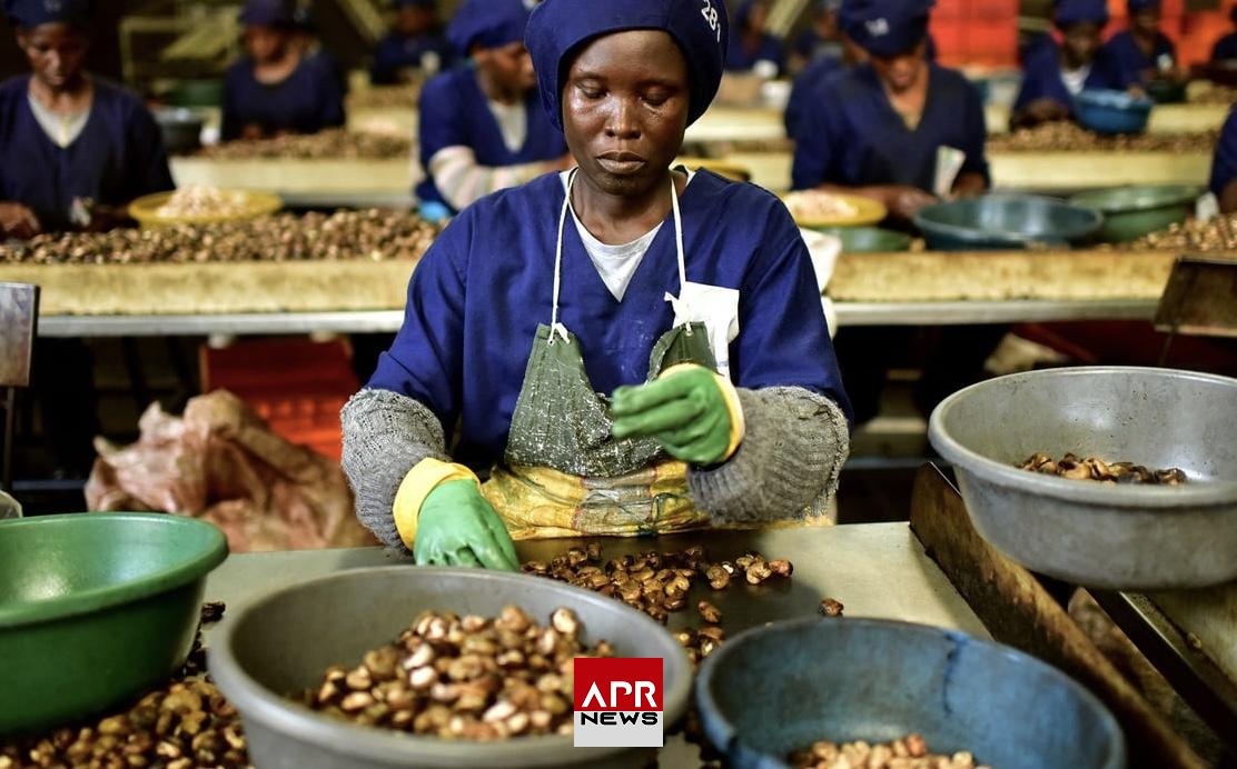 APRNEWS : Les experts appellent à de nouvelles politiques agroalimentaires africaines