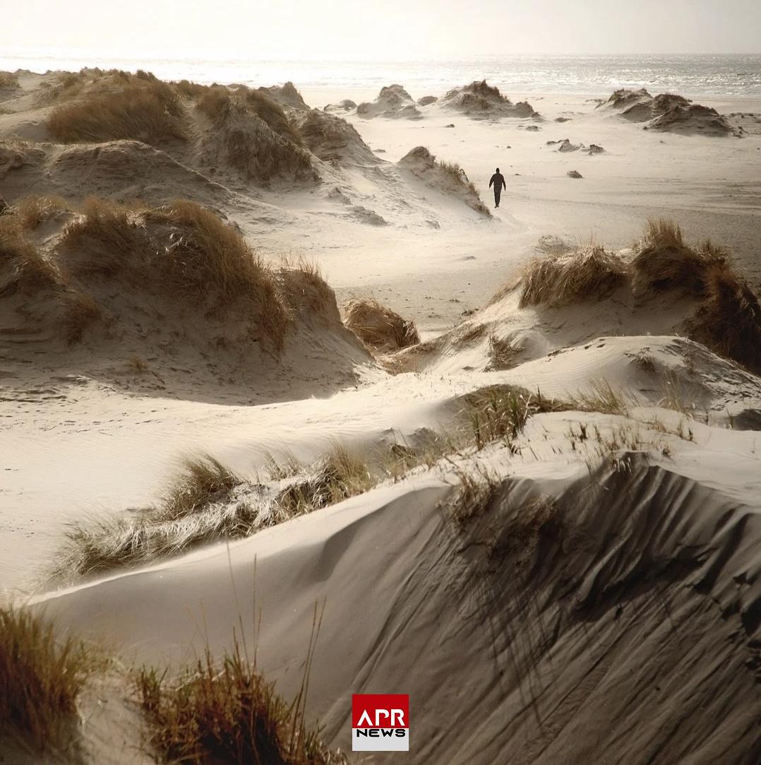 APRNEWS : Danemark – Deux enfants décèdent ensevelis dans un tunnel creusé dans une dune