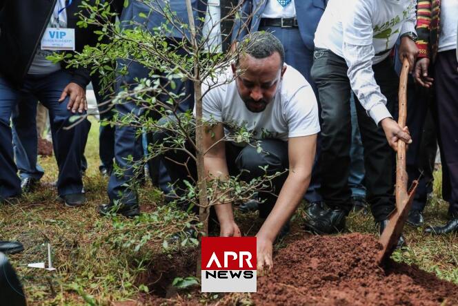 APRNEWS : 29 millions d’éthiopiens ont planté plus de 615 millions d’arbres en une seule journée