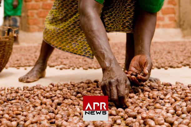 APRNEWS : Burkina Faso – le gouvernement suspend l’exportation de karité