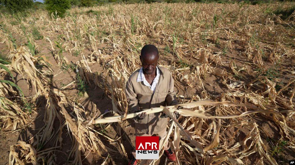 APRNEWS: Le PAM manque de fonds face à l’aggravation de la famine en Afrique APRNEWS: Le PAM manque de fonds face à l’aggravation de la famine en Afrique