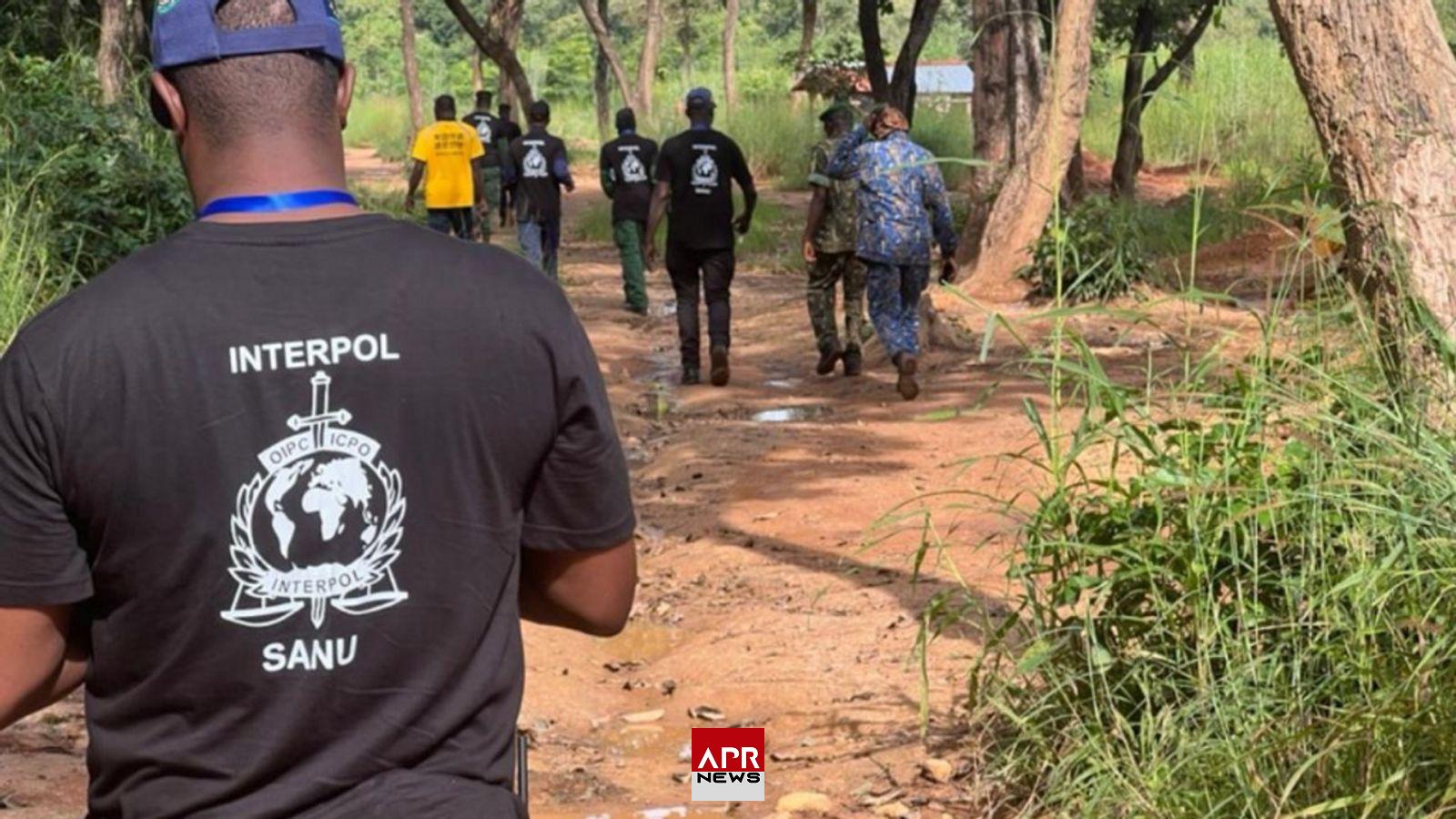 APRNEWS: 200 personnes arrêtées par Interpol dans quatre pays africains