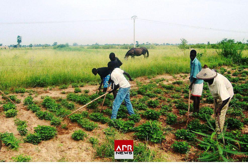 APRNEWS: Le Sénégal investit 107,4 milliards de francs CFA dans l’Agropole Centre à Kaolack APRNEWS: Le Sénégal investit 107,4 milliards de francs CFA dans l’Agropole Centre à Kaolack