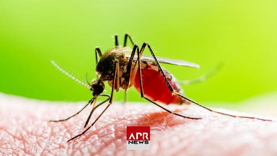 APRNEWS: La résistance aux médicaments compromet les progrès de la lutte contre le paludisme en Afrique APRNEWS: La résistance aux médicaments compromet les progrès de la lutte contre le paludisme en Afrique