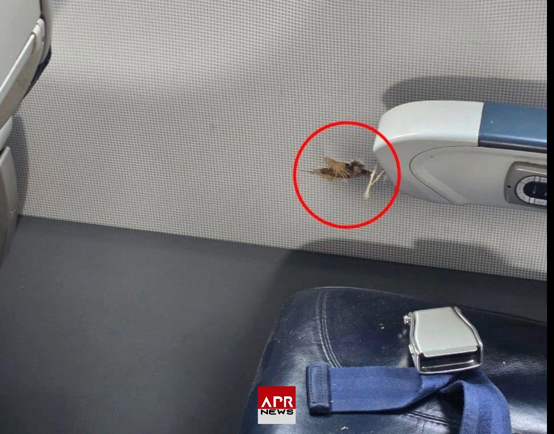 APRNEWS: Aéronef d’Air Côte d’Ivoire endommagé lors de tirs nocturnes à l’aéroport de Niamey